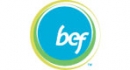 BEF logo primary