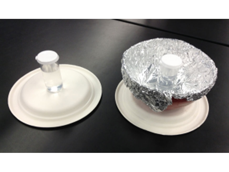 Two plates set upside down on a black surface. On the left the plate has clear sample bottle 3/4 full of water with a white cap. On the right the upside down palate has a bowl lined with aluminum foil, it also has a water filled sample bottle.