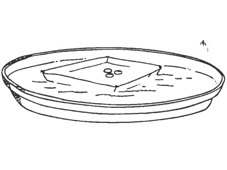 A sketch which shows a shallow circular dish filled with water. In the middle of the water is square dish that is holding three small circles.