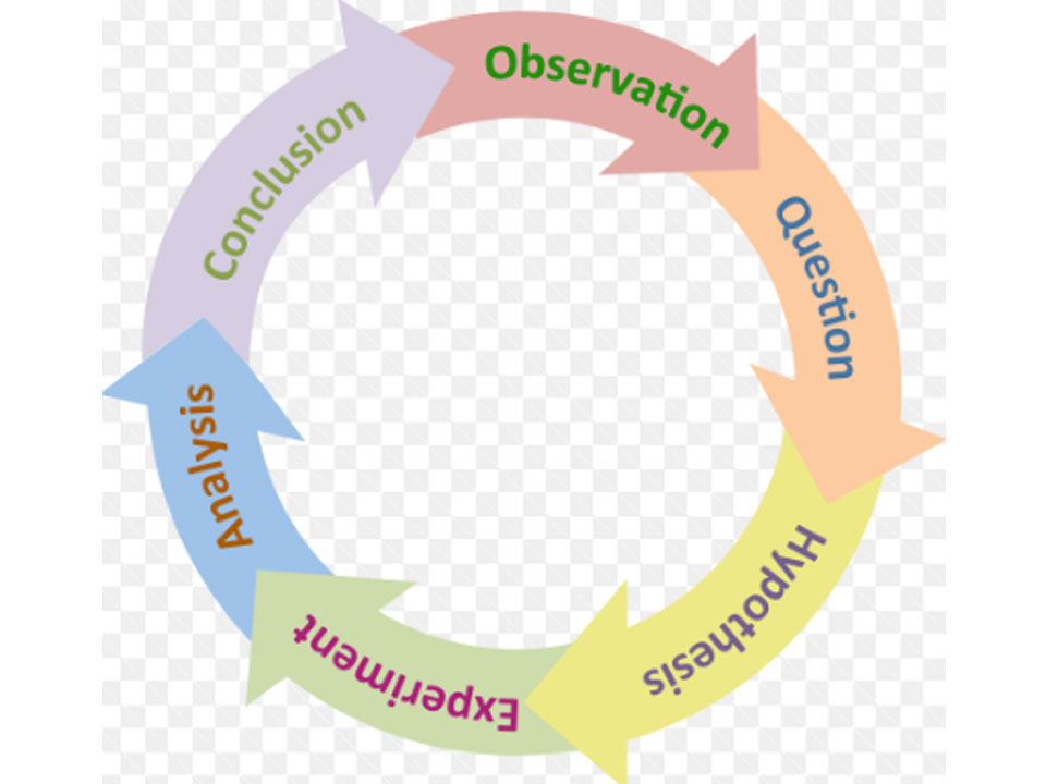 Science Exploration Pathway graphic. Image Description is under Featured Image Description Heading