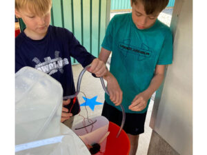 2 boys use a plastic hose to direct water onto wooden turbine blades attached to a plastic container in an orange bucket.